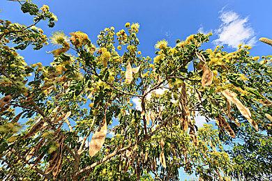 新政策 上海提出游戏外企在沪自研产品视同国产游戏