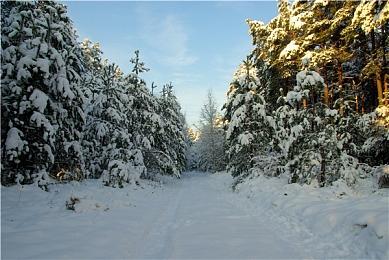 动作影星尚格·云顿将加入《杀手》世界 免费活动全员可玩