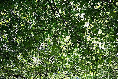 《生化危机：村庄》VR模式宣传片 2月22日上线