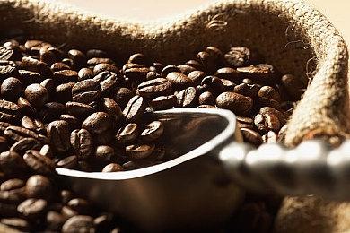 游戏重现艺术之美 《地平线：西之绝境》与Rijks博物馆合作介绍